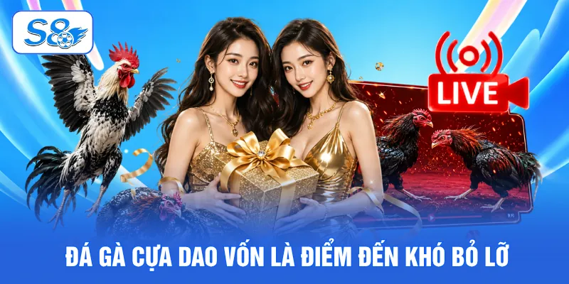 Đá Gà Cựa Dao S8 - Giải Mã Đỉnh Cao Chiến Kê Săn Thưởng 2026 2 Đá gà cựa dao vốn là điểm đến khó bỏ lỡ