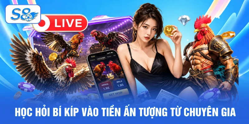 Đá Gà Cựa Dao S8 - Giải Mã Đỉnh Cao Chiến Kê Săn Thưởng 2026 4 Học hỏi bí kíp vào tiền ấn tượng từ chuyên gia