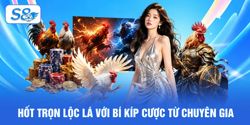 Hốt trọn lộc lá với bí kíp cược từ chuyên gia