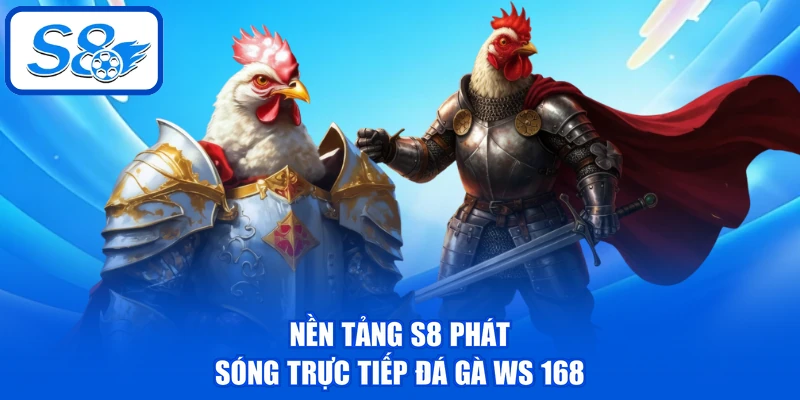 Đá Gà WS 168 - Sảnh Chọi Kê Chuyên Nghiệp Hàng Đầu Tại S8 3 Nền tảng S8 phát sóng trực tiếp Đá gà WS 168
