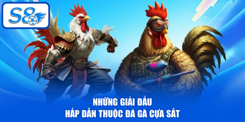 Đá Gà Cựa Sắt - 6 Tiêu Chí Chọn Ra Chiến Kê Nên Đặt Cược 4 Những giải đấu hấp dẫn thuộc đá gà cựa sắt