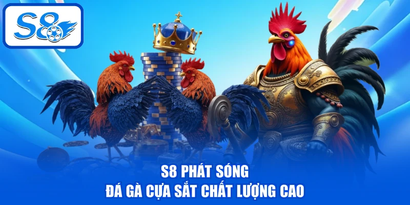 Đá Gà Cựa Sắt - 6 Tiêu Chí Chọn Ra Chiến Kê Nên Đặt Cược 3 S8 phát sóng đá gà cựa sắt chất lượng cao
