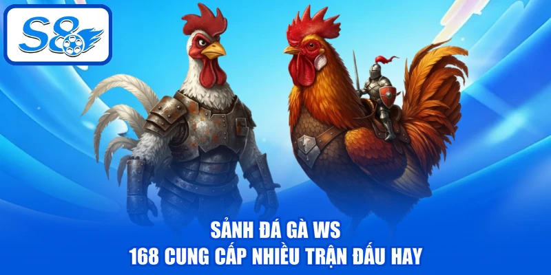 Đá Gà WS 168 - Sảnh Chọi Kê Chuyên Nghiệp Hàng Đầu Tại S8 2 Sảnh Đá gà WS 168 cung cấp nhiều trận đấu hay
