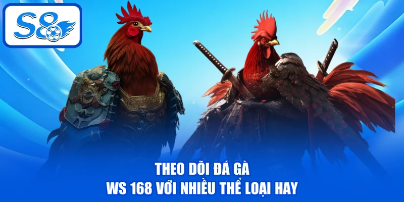 Đá Gà WS 168 - Sảnh Chọi Kê Chuyên Nghiệp Hàng Đầu Tại S8 4 Theo dõi Đá gà WS 168 với nhiều thể loại hay