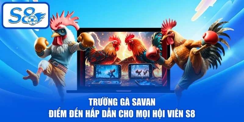Trường Gà Savan - Điểm Đến Hấp Dẫn Cho Mọi Hội Viên S8 1 Trường Gà Savan - Điểm Đến Hấp Dẫn Cho Mọi Hội Viên S8